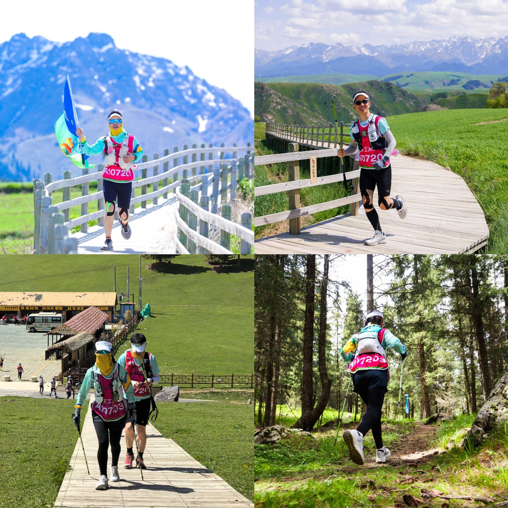 122cc太阳集成游戏